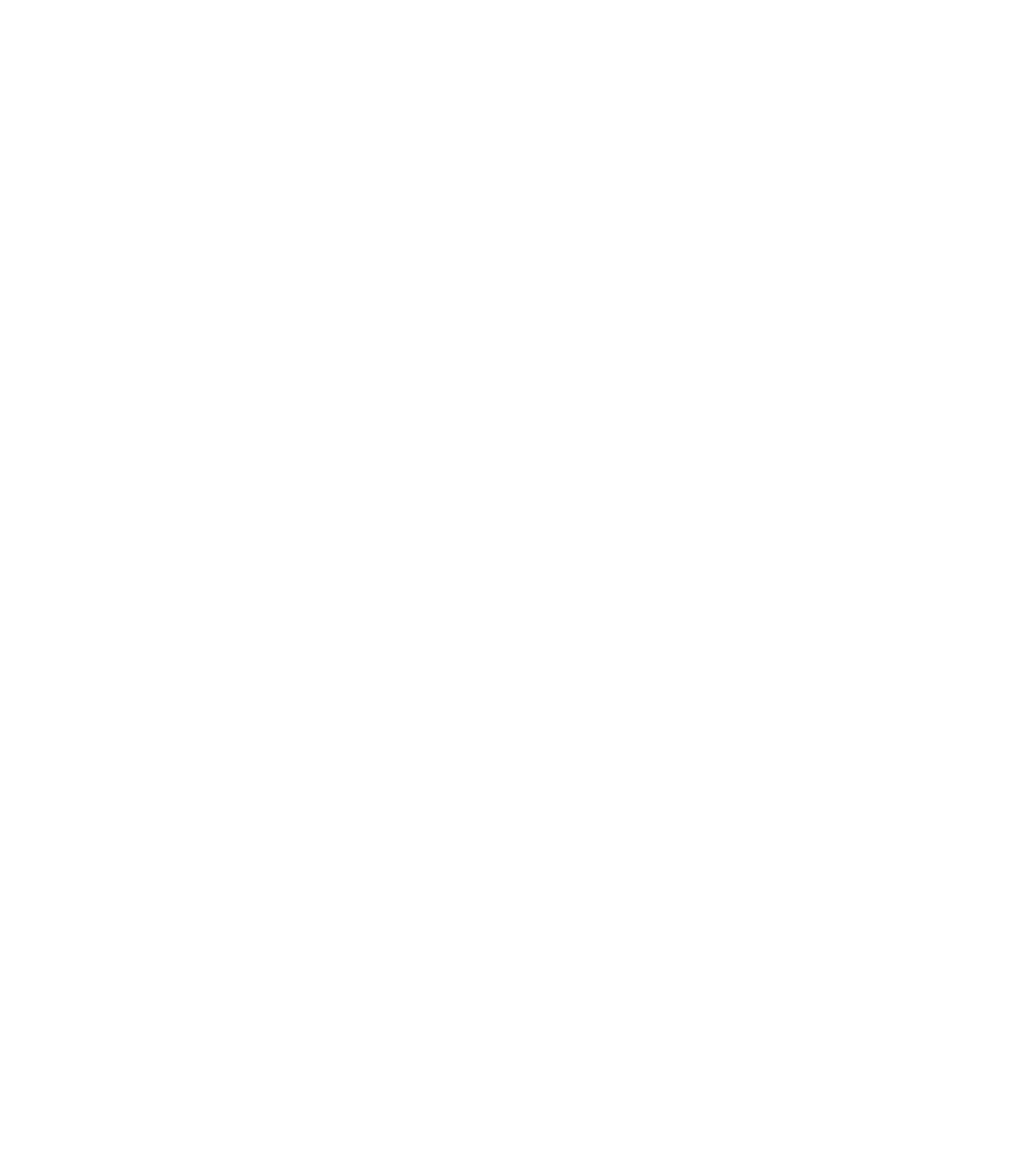 Fly Dance Studio